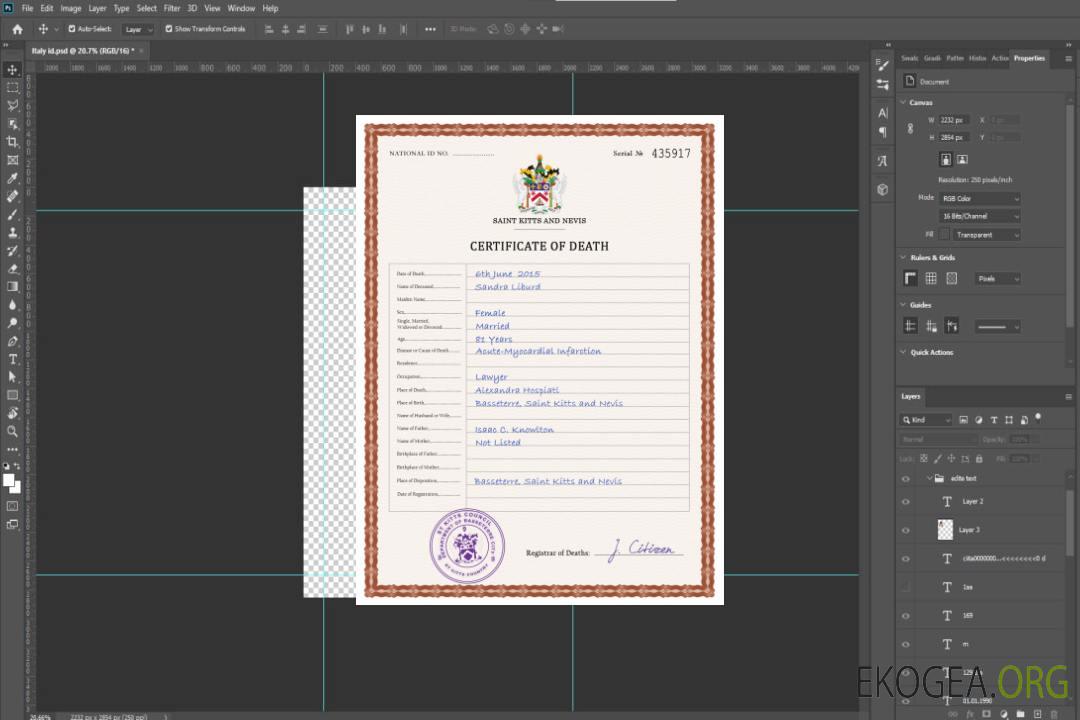 Modèle PSD de certificat de décès de Saint-Kitts-et-Nevis template Modèle PSD de certificat de décès de Saint-Kitts-et-Nevis template